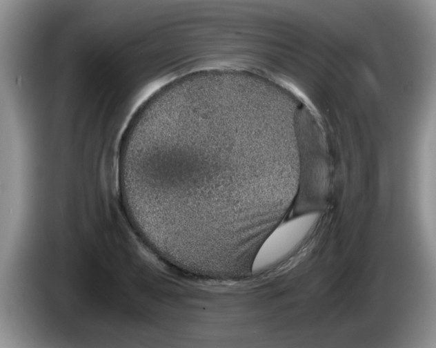 X0000083581079200703091653