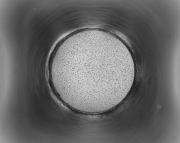 X0000083581080200703091653