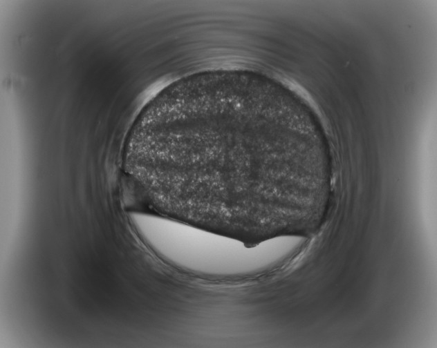 X0000083581081200703091653