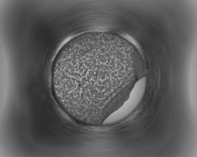 X0000083581083200703091653