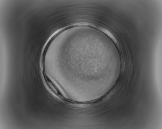 X0000083581084200703091653