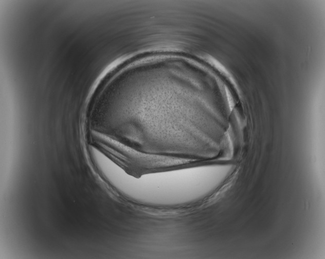 X0000083581085200703091653