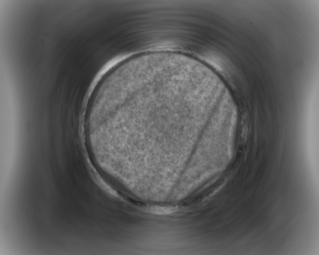 X0000083581086200703091653