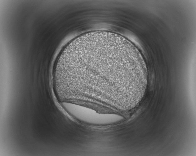 X0000083581088200703091653