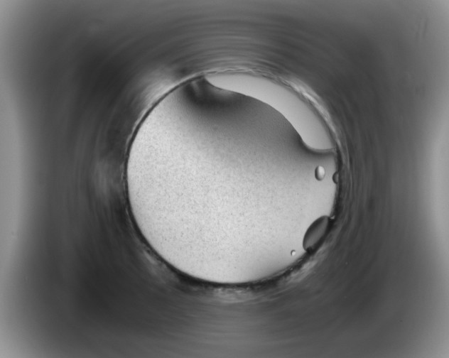 X0000083581089200703091653