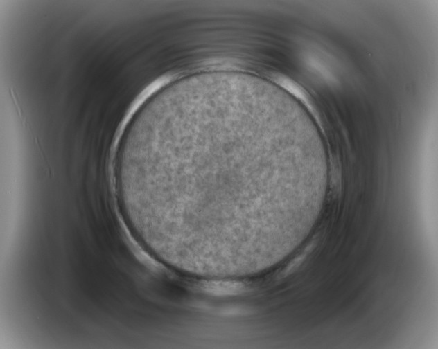 X0000083581090200703091653
