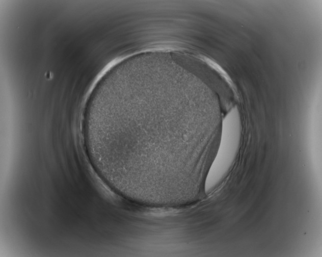 X0000083581091200703091653