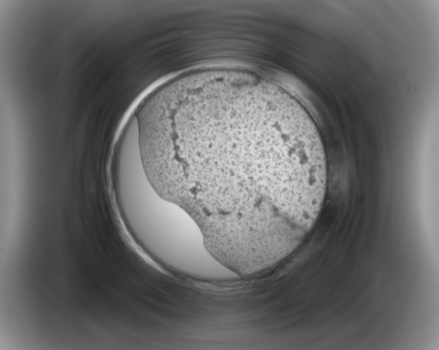 X0000083581092200703091653