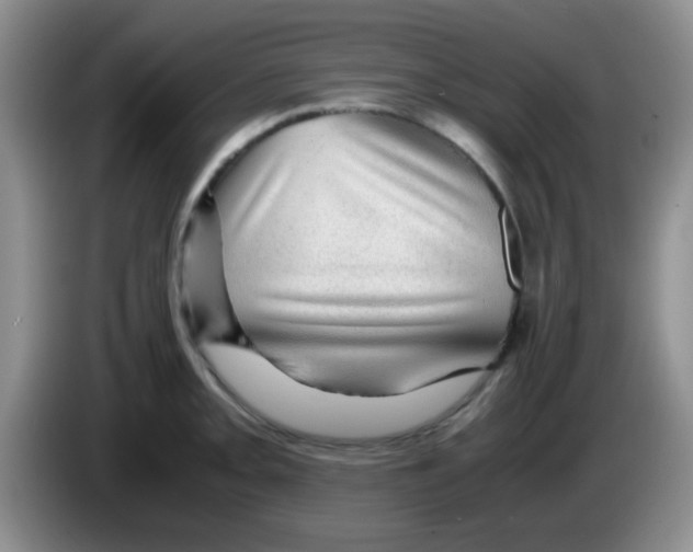 X0000083581093200703091653