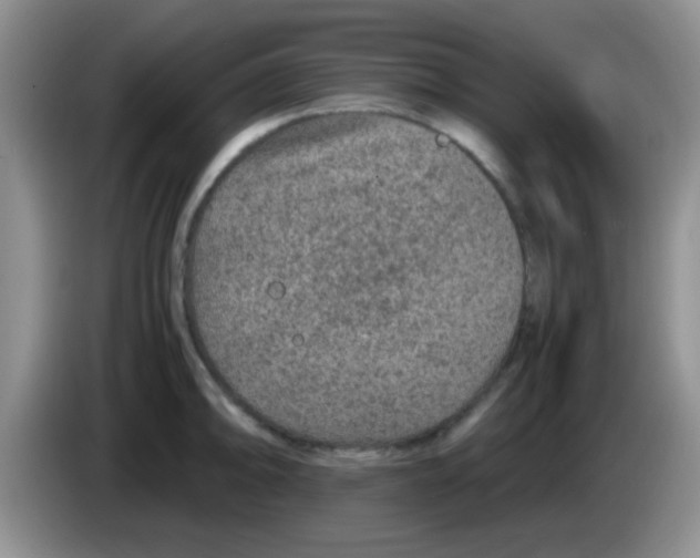 X0000083581094200703091653