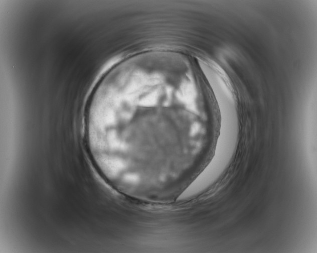 X0000083581095200703091653