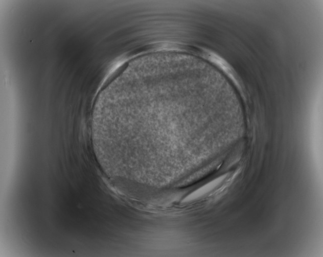 X0000083581097200703091653