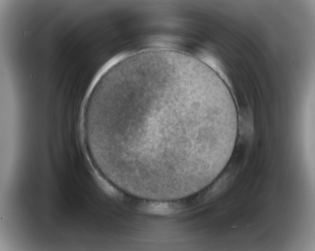 X0000083581098200703091653