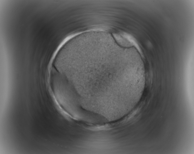 X0000083581099200703091653