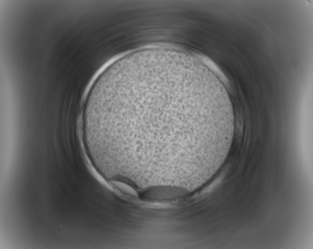 X0000083581100200703091653