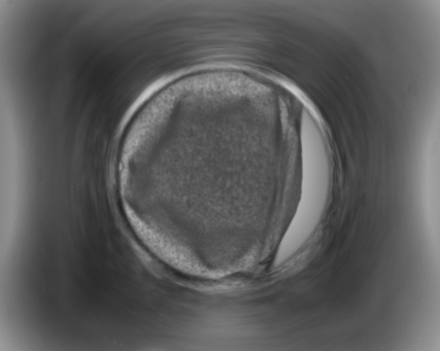 X0000083581101200703091653