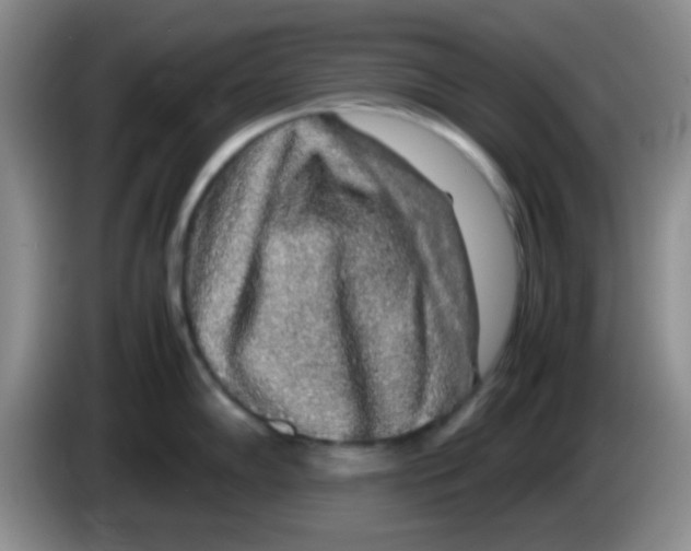 X0000083581102200703091653