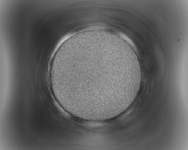 X0000083581103200703091653