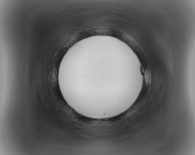 X0000083581107200703091652