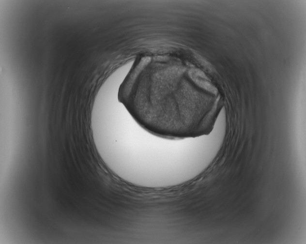 X0000083581108200703091652