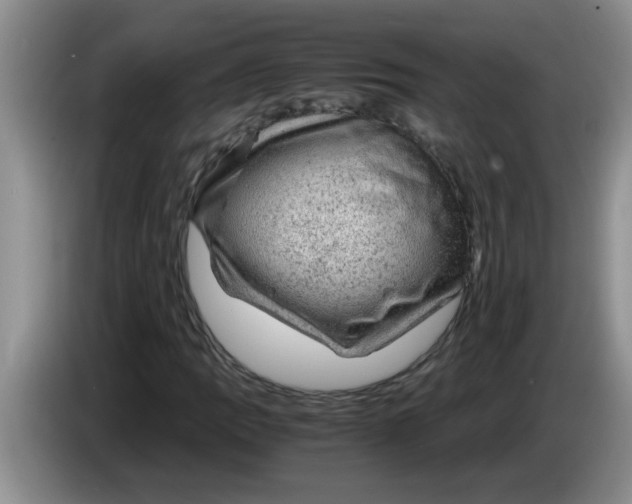 X0000083581109200703091652