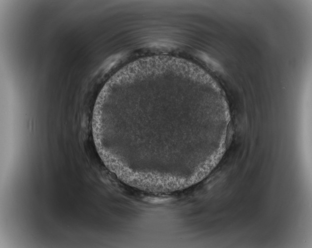 X0000083581110200703091652