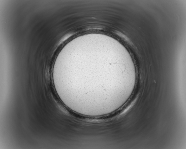 X0000083581113200703091652