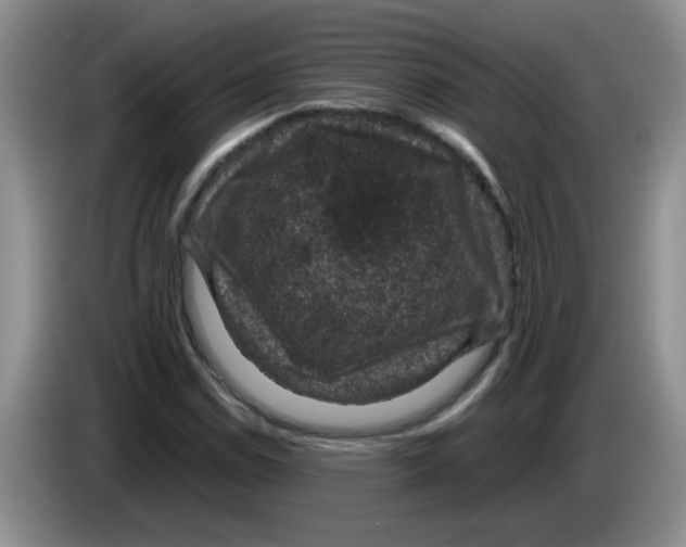 X0000083581114200703091652