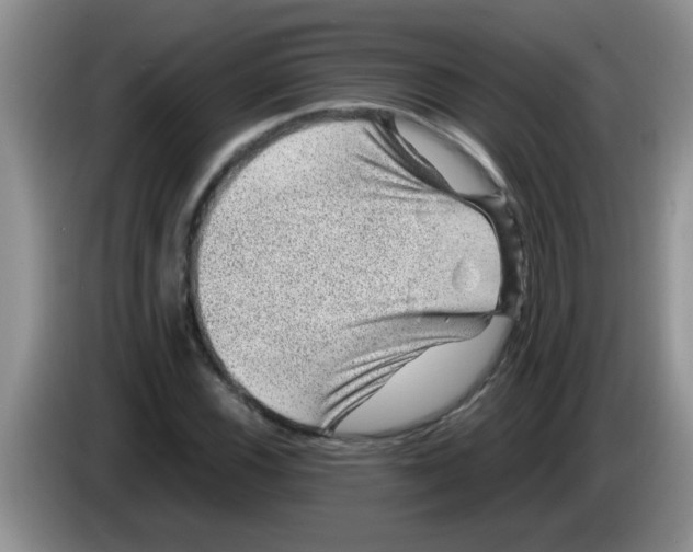 X0000083581116200703091653