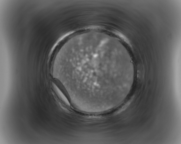 X0000083581117200703091653