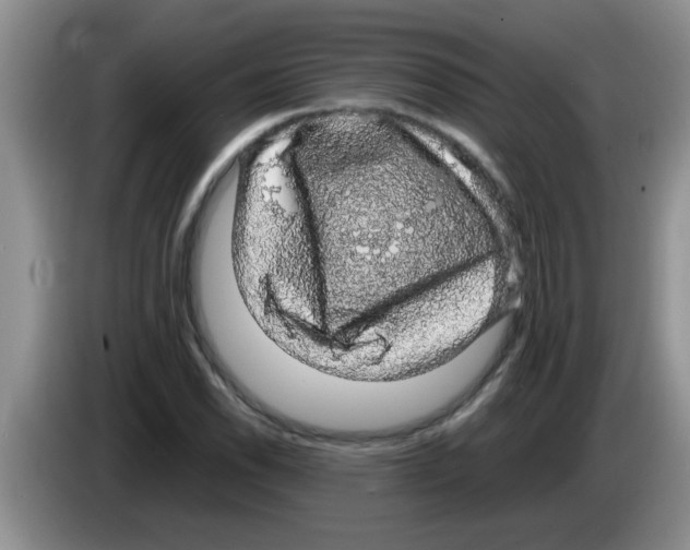 X0000083581118200703091653