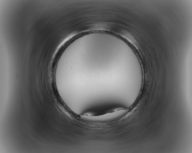 X0000083581119200703091653