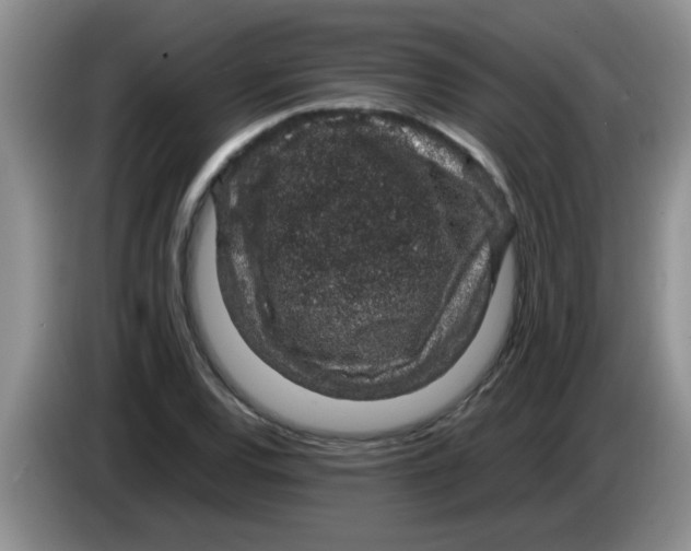 X0000083581120200703091653