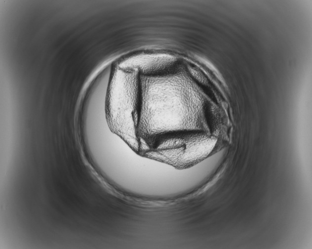 X0000083581122200703091653