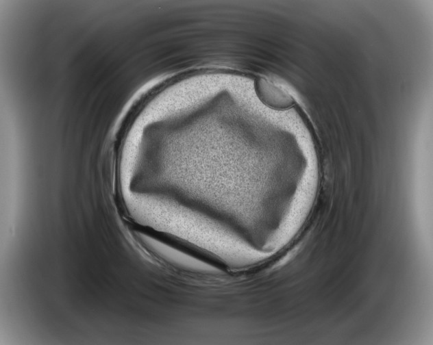 X0000083581123200703091653