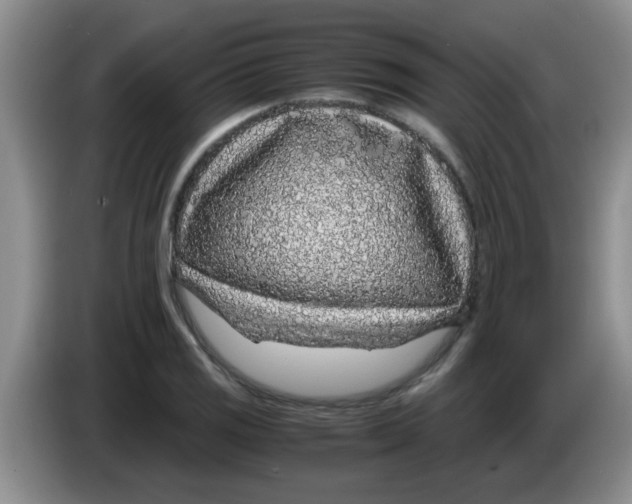 X0000083581125200703091653