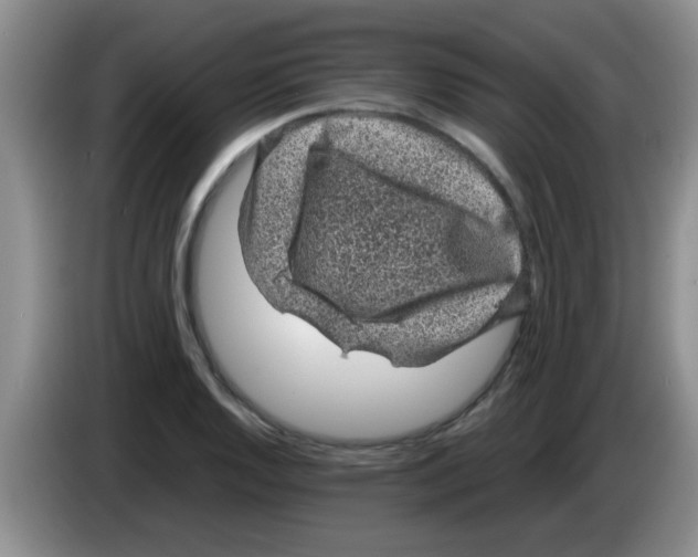 X0000083581128200703091653