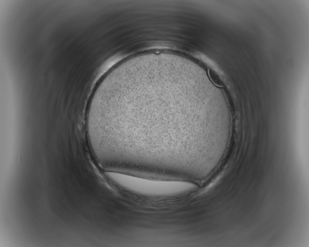 X0000083581129200703091653
