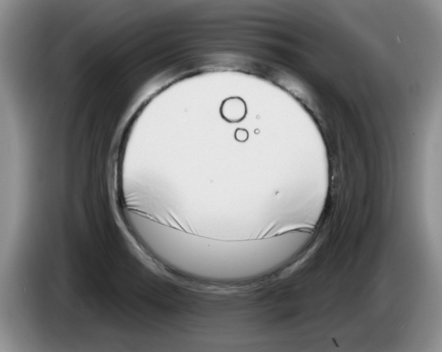 X0000083581130200703091653