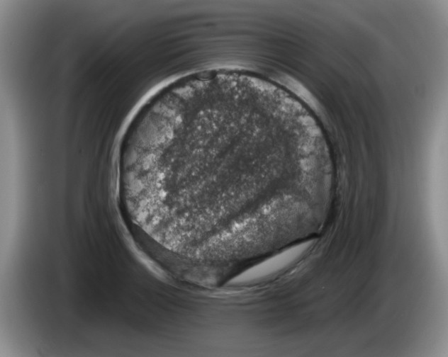 X0000083581132200703091653