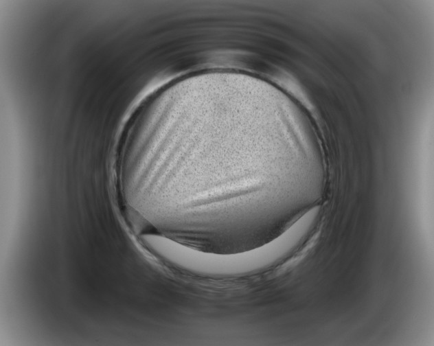 X0000083581133200703091653