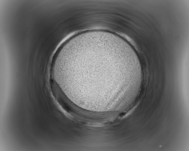 X0000083581134200703091653