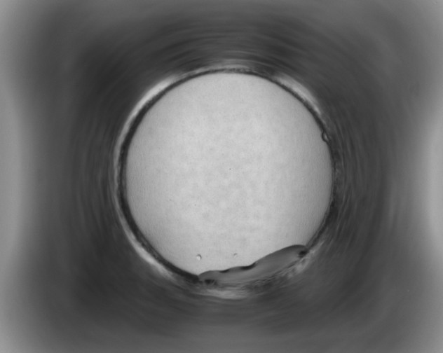 X0000083581135200703091653