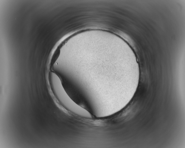 X0000083581136200703091653