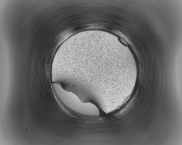 X0000083581137200703091653