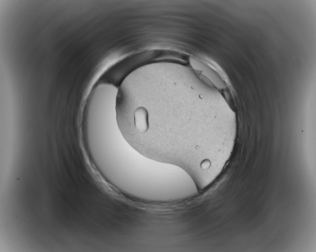 X0000083581138200703091653