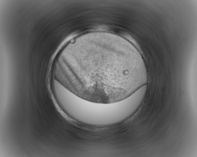 X0000083581139200703091653