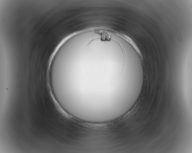 X0000083581140200703091653