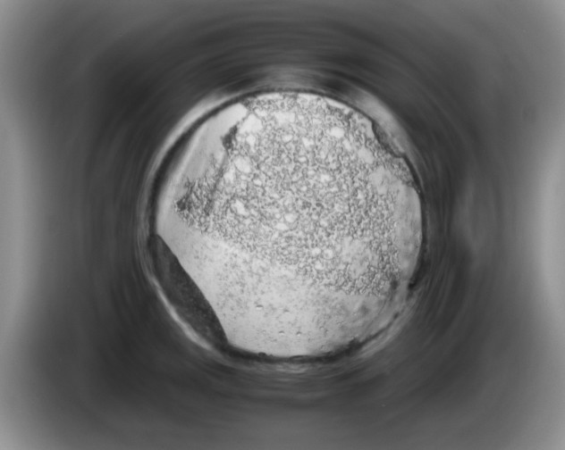 X0000083581141200703091653