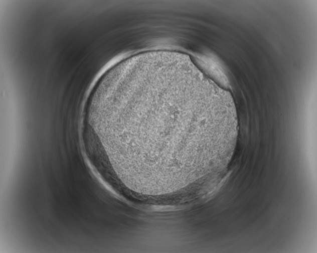 X0000083581142200703091653